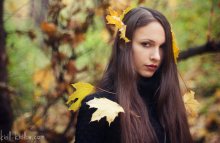 Herbst / ***