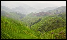 Reisterrassen in China. / ***