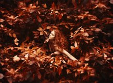 Autumn Colors / ***