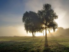 karierten Licht und Schatten / ***