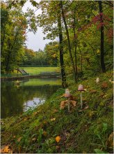 In der Herbst-Park. / ***