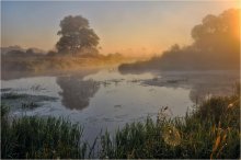 Morgens / ***