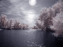 Herbst in der IR / ***