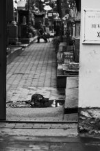 Zwei / ***
