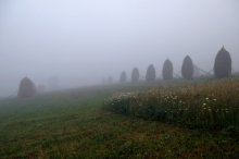 Stozhkov im Nebel, wie ein Schiff ... / ***