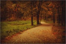 in silence / ..............
