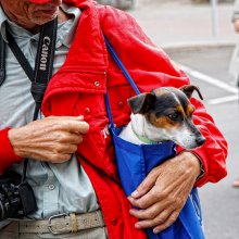 Der Fotograf und sein Freund / ***