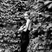  / film 120