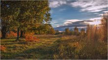 Herbst-Skizzen / ***