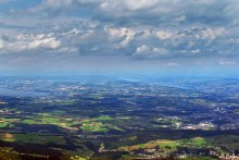 Blaue Ferne / ***