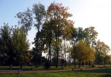 Altweibersommer / ***