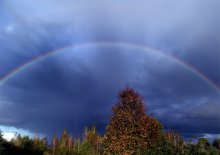 Autumn Rainbow / ***