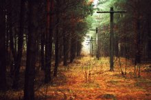  / zabudka.lj.ru