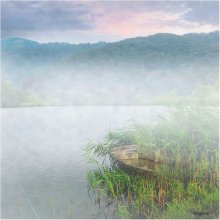 Misty morning / ***