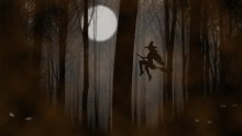 Halloween / ...