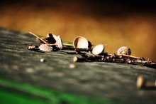 Herbst / ***