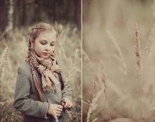 Herbst / *************