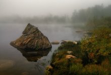 Nebel mit Stein / ***