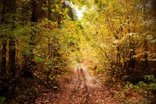 Autumn 2 / ..................
