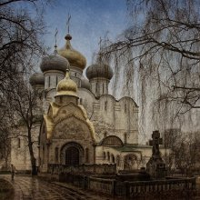 in Novodevichy .... / ------------------