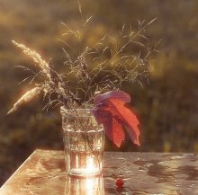 Am Ende des Tages ... / ...............