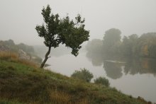 Einsamen Geist. / ***