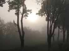 Durch den Nebel. / ***