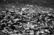 Kochendes Wasser / ***