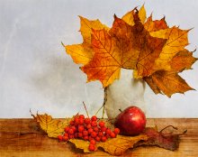 Autumn 2 / ***