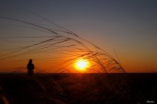 Mädchen und Sonne / ***