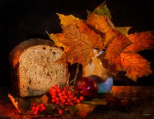 Autumn # 3 / ***