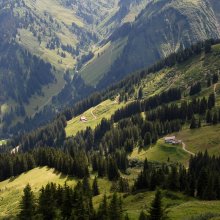 Alpine Trail (2) / ***