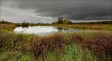 Herbst / ***
