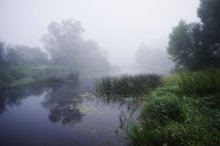 Foggy Morning / ***