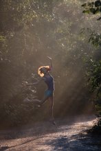 Forest Fairy / ***