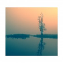 Tagesanbruch / ***