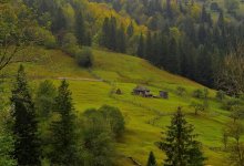 kleine Welt / ******