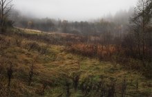 Herbst / ***