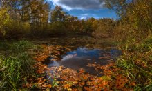 Herbstfarben / ***