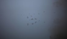 Herbstmorgen fremden Stadt / ................................