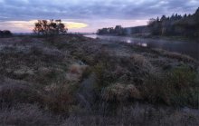 ersten Frost / ***