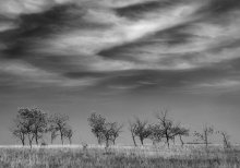 Vor dem Sturm / ***