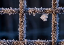Frost / ***