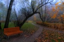Morgen im Park / Sokolniki / / ***