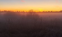 In einem rosa Nebel / ***