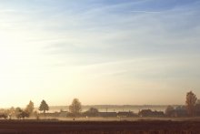 Morgen Themen / ***