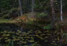 Das schwarze Loch / ***