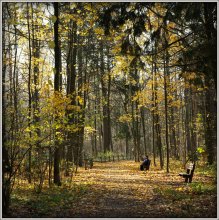Ausgehende gold / ***