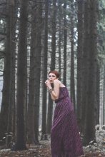 Wald / ...