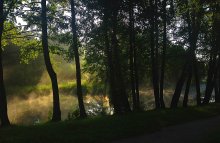 Summer Morning / ***